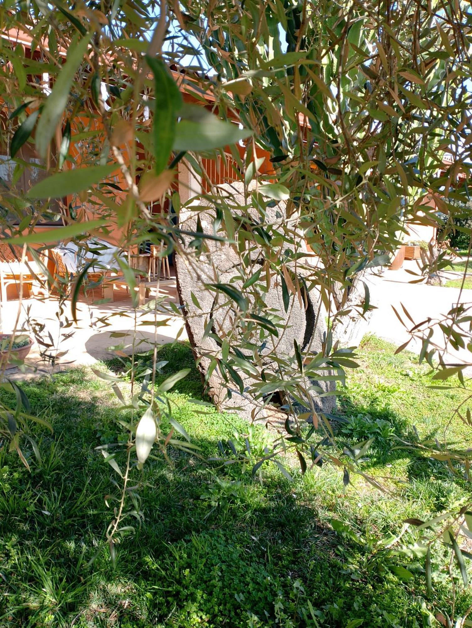Bauernhof Cuccuruaio' *