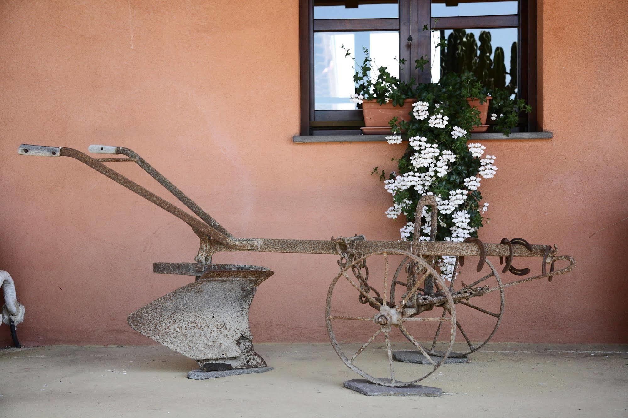 Cuccuruaio' * Siamaggiore